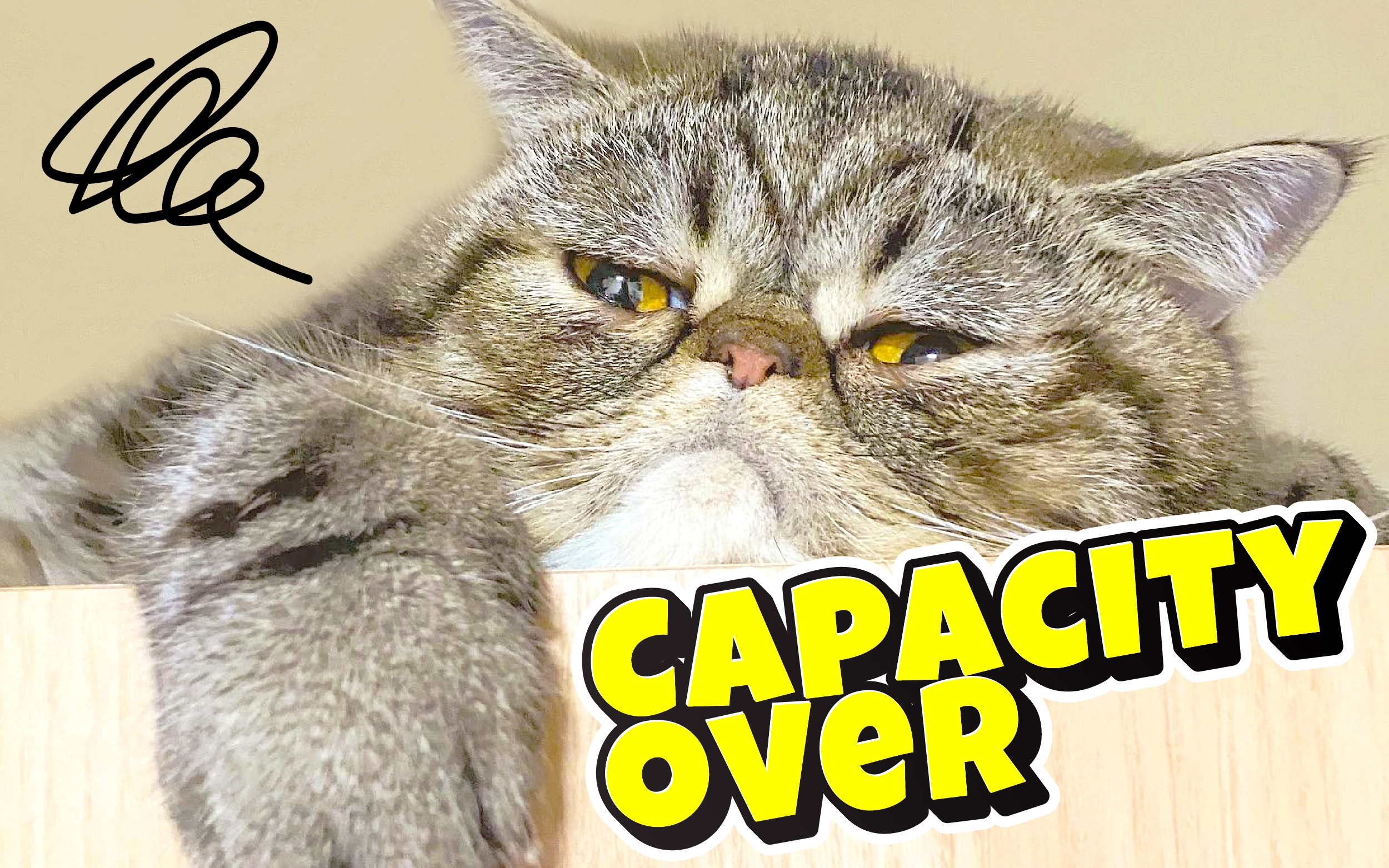 仕事が趣味の落とし穴とちょうどいい距離感の話